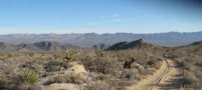 Mojave Trail