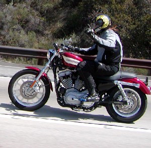 Martin on a Sportster